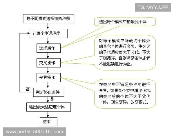 自适应算法优化赛事转码 保障多终端流畅观看 自适应算法优化赛事转码 保障多终端流畅观看